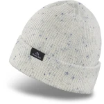 Czapka Dakine Axel Beanie White /2024