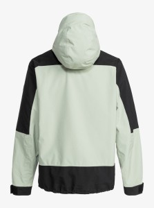 eqytj03444_quiksilver,v_gfl0_bck1.jpg