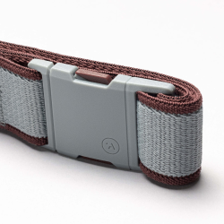 CartoSlim-CloudBurgundy-UA-NRSEC(2).png