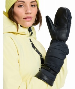 ERJHN03259 KVJ0 Secondary High Res.png