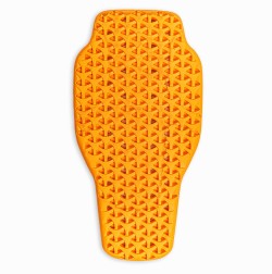 CLOVER-Backprotector-Lowres-10.jpg