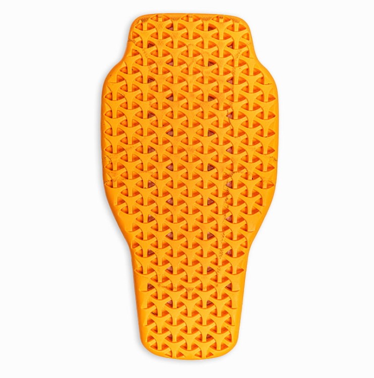 CLOVER-Backprotector-Lowres-10.jpg