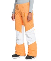 53396.png