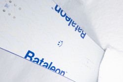 2627_Bataleon_PartyWave_CraigRobinson_2.jpg