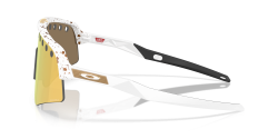 0OO9465__946533__P21__shad__lt.png