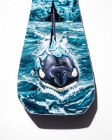 fw26-pdp-lib-goldenorca-4.jpg