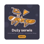 Duży serwis